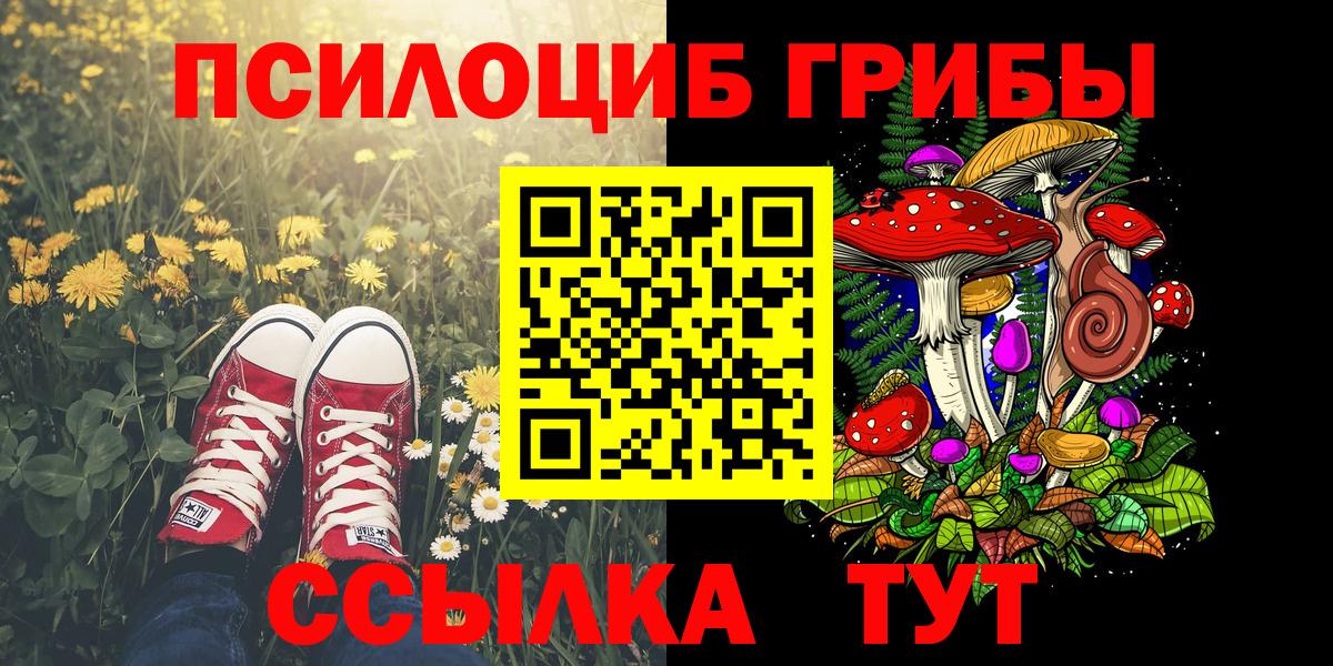 Псилоцибиновые грибы ЛСД Сокол