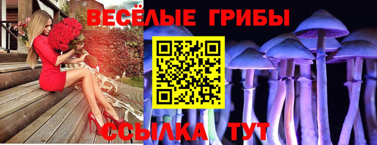 цена   Галлюциногенные грибы Psilocybine cubensis  Галлюциногенные грибы MAGIC MUSHROOMS  Вход с VPN  Сокол 